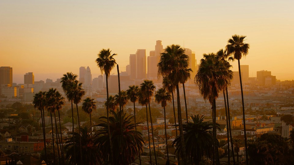 Os incêndios de Los Angeles: Como a mídia local multiplataforma se tornou uma tábua de salvação 
