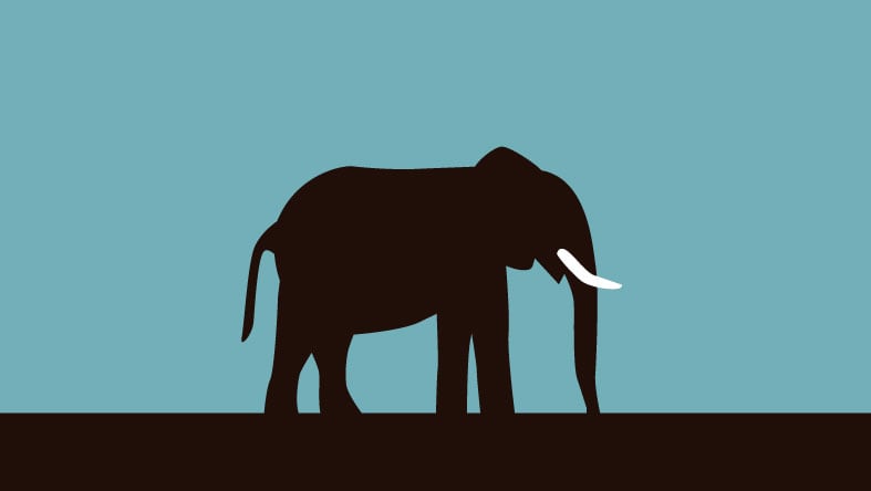 Industry Digital Trend Report